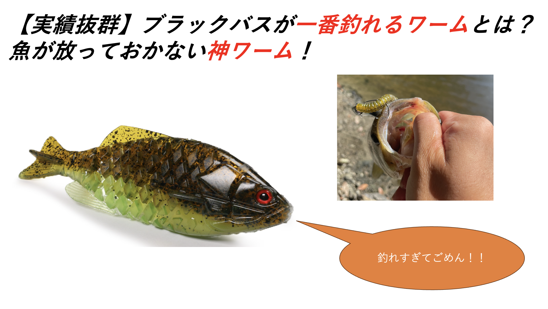 bass -fishing -works 【実績抜群】ブラックバスが一番釣れるワームと 