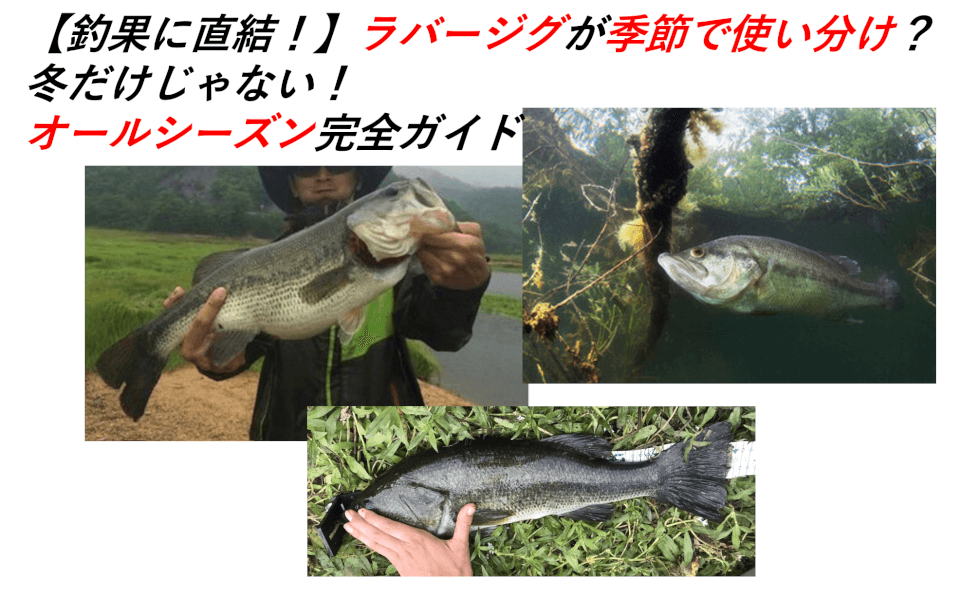 【釣果に直結！】ラバージグを季節で使い分け？冬だけじゃない！ オールシーズン完全ガイド -