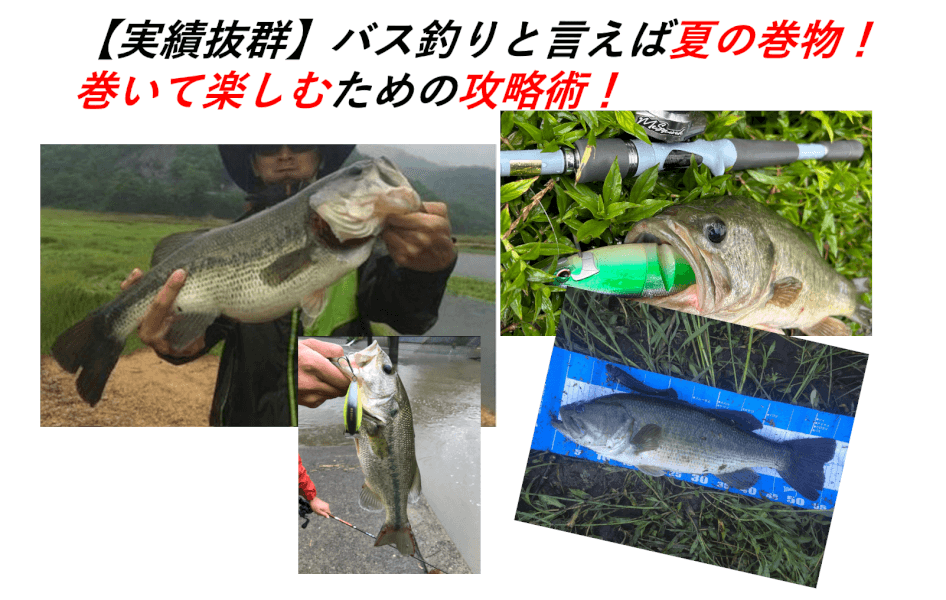 実績抜群】バス釣りと言えば夏の巻物！巻いて楽しむための攻略術！