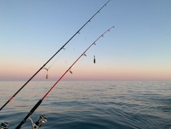 釣り写真