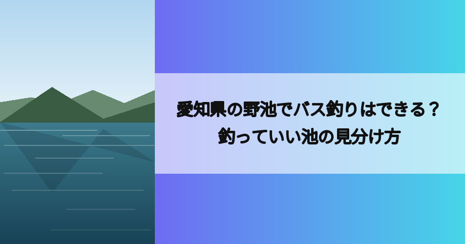 愛知県の野池でバス釣りはできる？釣っていい池の見分け方