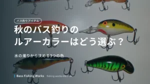 autumn-bass-fishing-lure-color のアイキャッチ画像