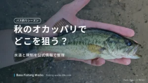 autumn-bass-fishing-shore のアイキャッチ画像