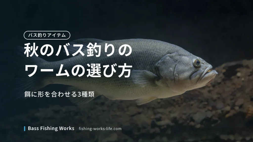 autumn-bass-fishing-worms のアイキャッチ画像