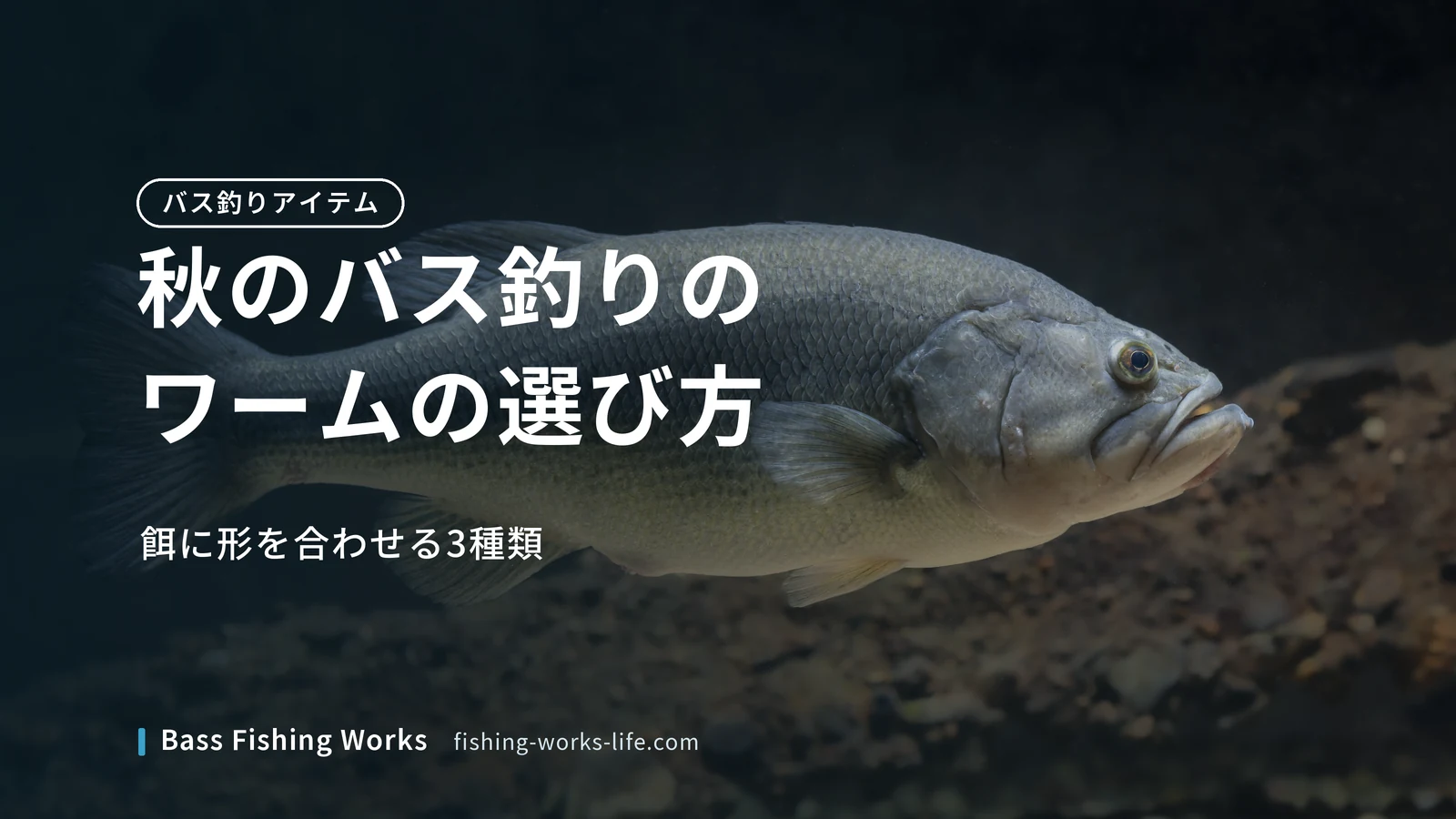 autumn-bass-fishing-worms のアイキャッチ画像