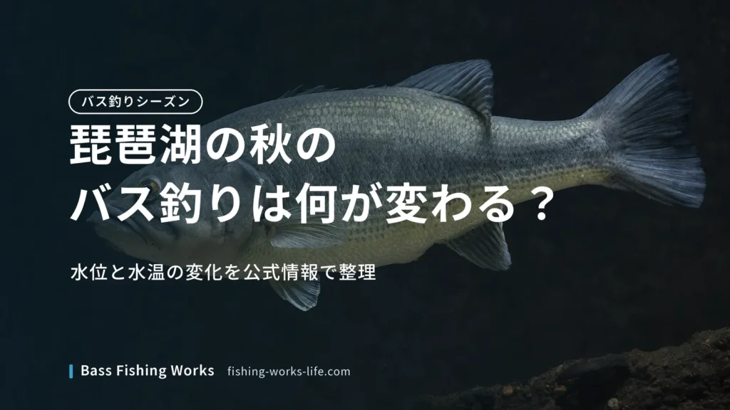 lake-biwa-autumn-bass-fishing のアイキャッチ画像