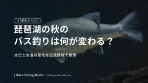 lake-biwa-autumn-bass-fishing のアイキャッチ画像
