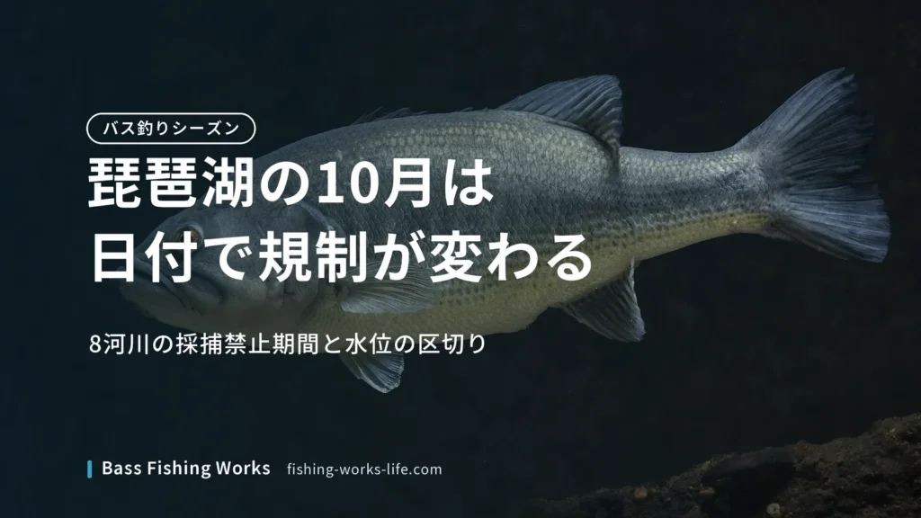 lake-biwa-october-bass-fishing のアイキャッチ画像