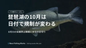 lake-biwa-october-bass-fishing のアイキャッチ画像