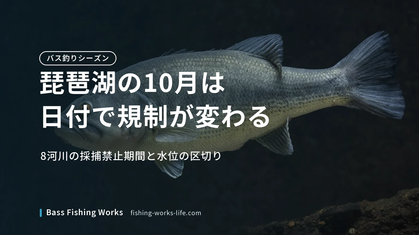 lake-biwa-october-bass-fishing のアイキャッチ画像