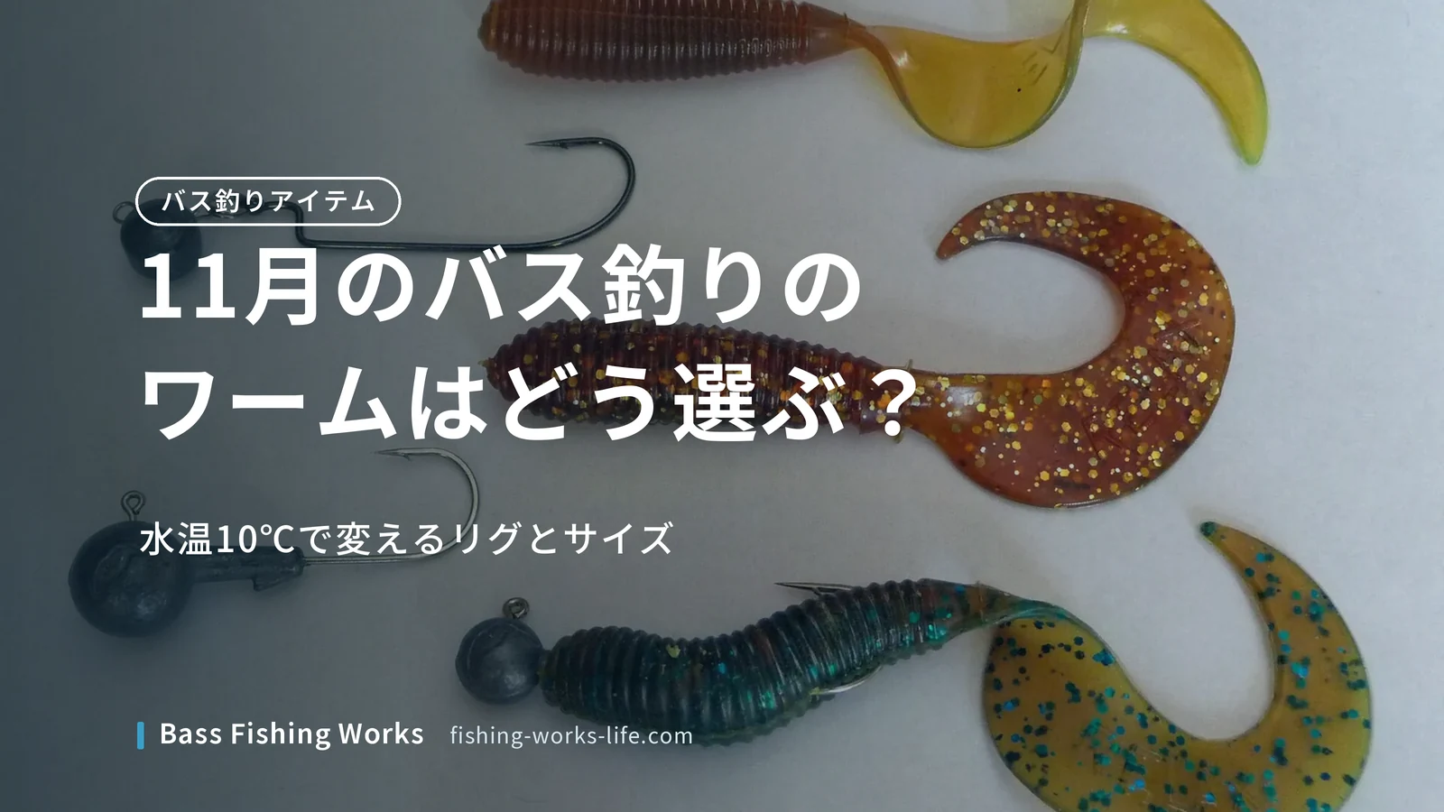 november-bass-fishing-worm のアイキャッチ画像