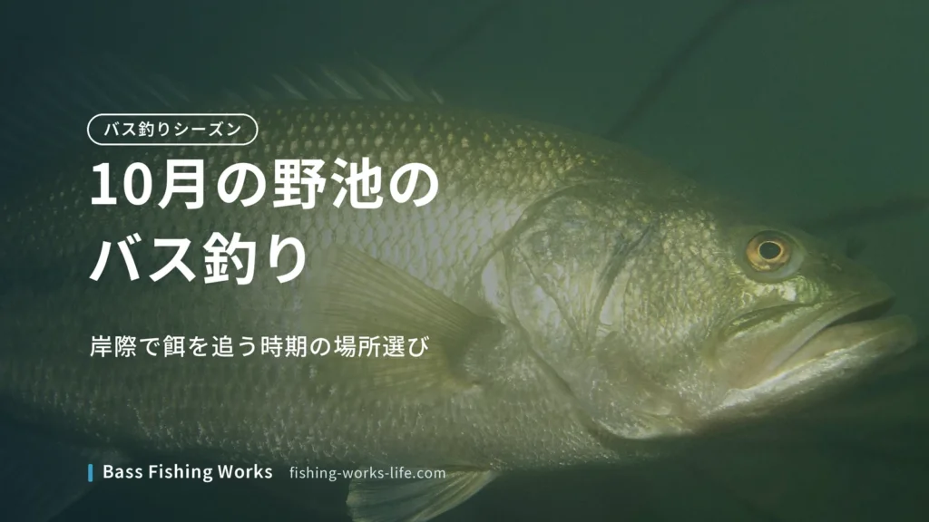 october-bass-fishing-ponds のアイキャッチ画像