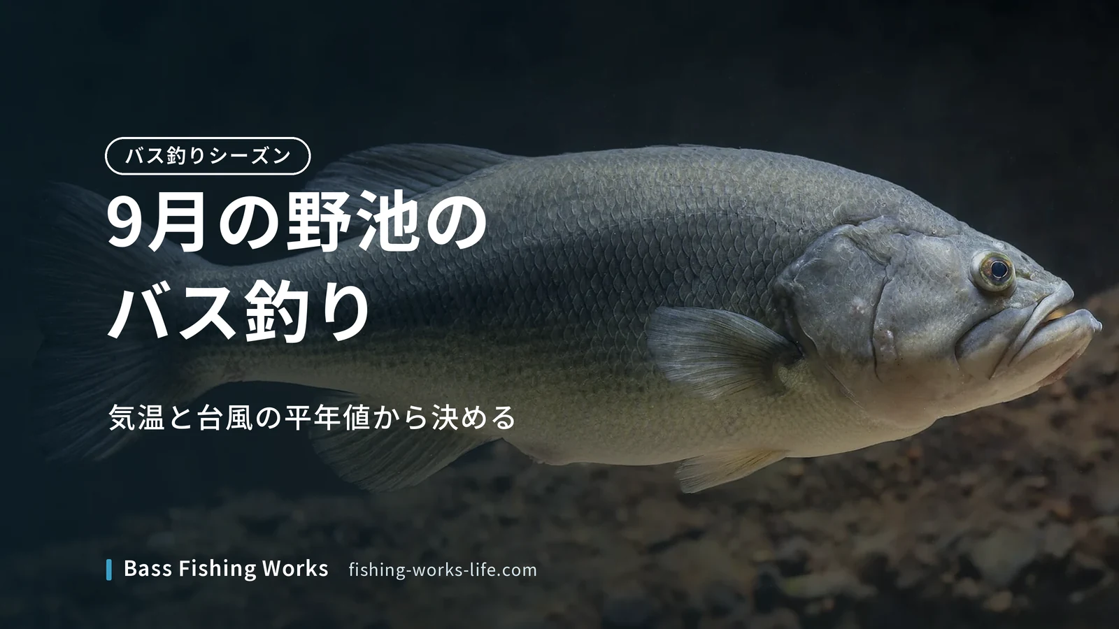 september-bass-fishing-ponds のアイキャッチ画像