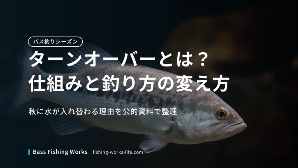 turnover-bass-fishing のアイキャッチ画像