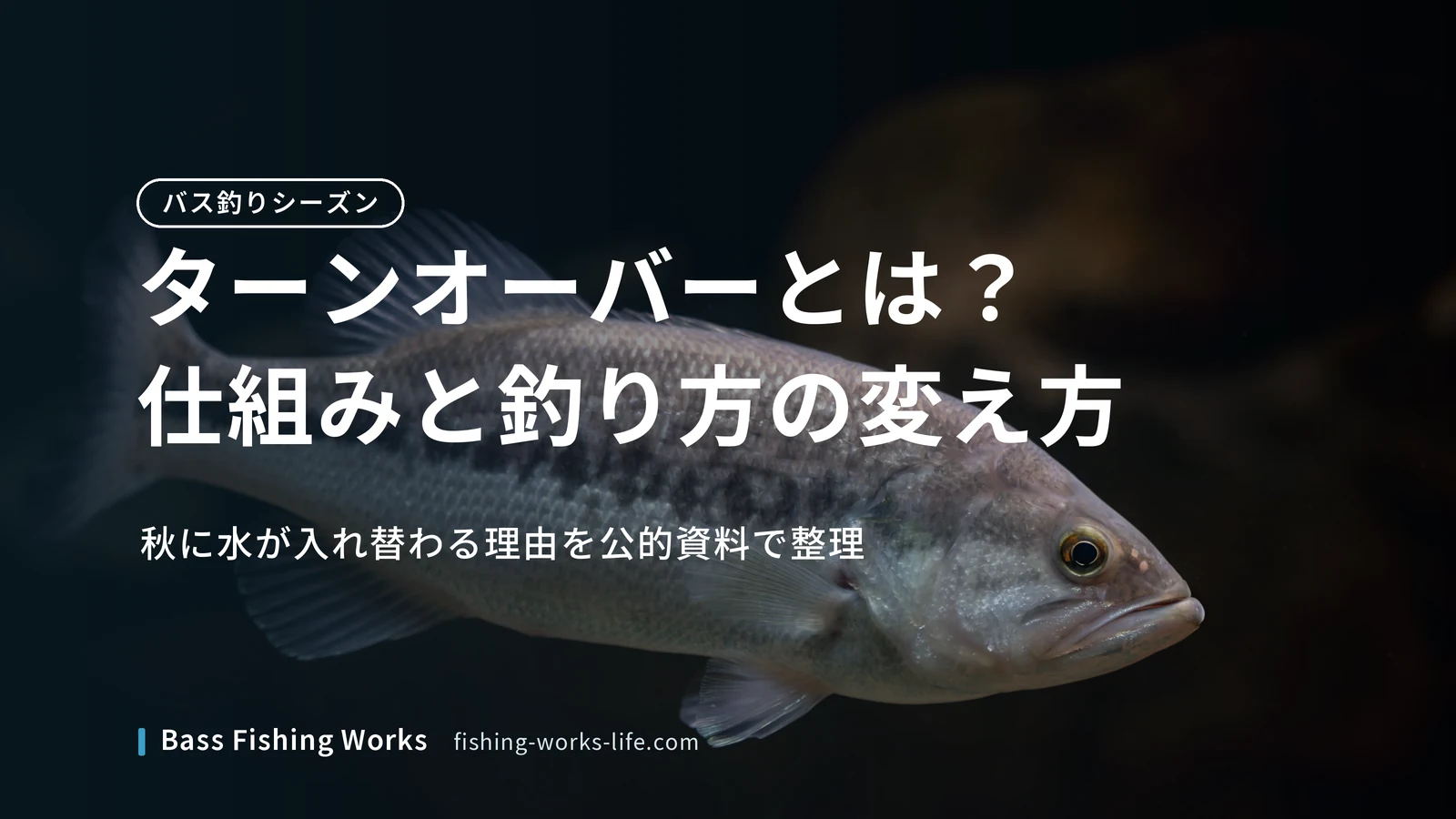 turnover-bass-fishing のアイキャッチ画像