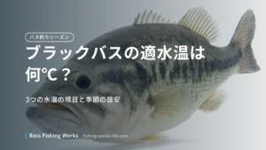 bass-optimal-water-temperature のアイキャッチ画像