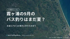 kasumigaura-september-bass-fishing のアイキャッチ画像