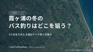 kasumigaura-winter-bass-fishing のアイキャッチ画像