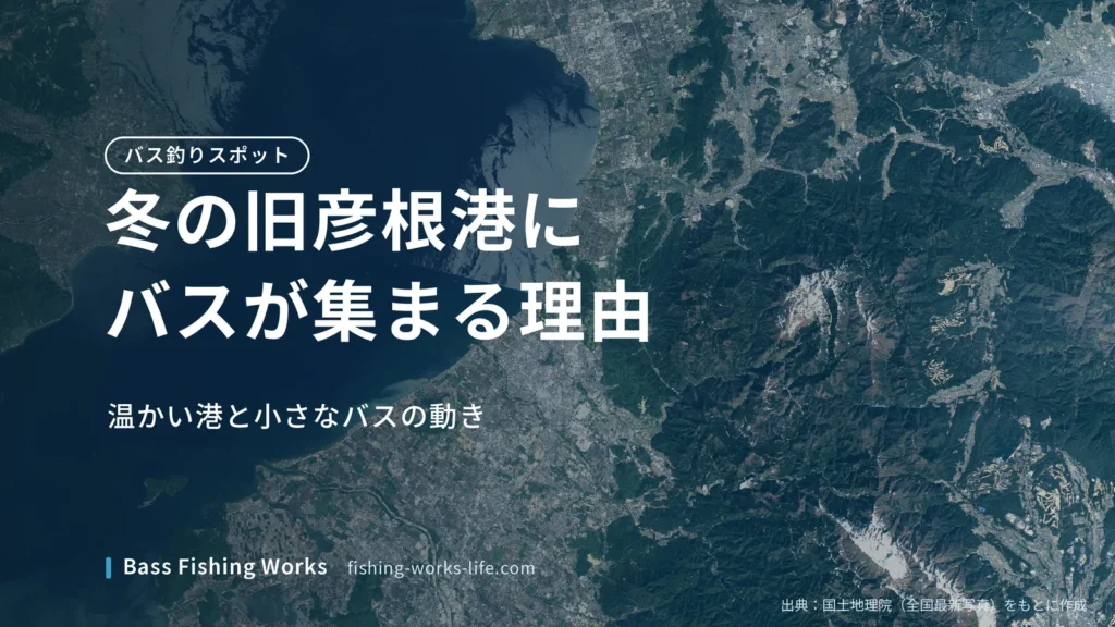 kyu-hikone-winter-bass-fishing のアイキャッチ画像
