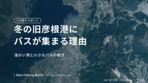 kyu-hikone-winter-bass-fishing のアイキャッチ画像