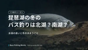 lake-biwa-winter-bass-fishing のアイキャッチ画像