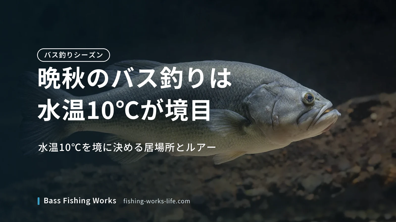 late-autumn-bass-fishing のアイキャッチ画像