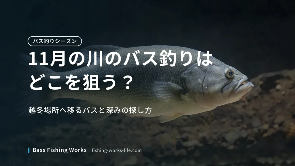 november-bass-fishing-river のアイキャッチ画像