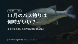 november-bass-fishing-time のアイキャッチ画像