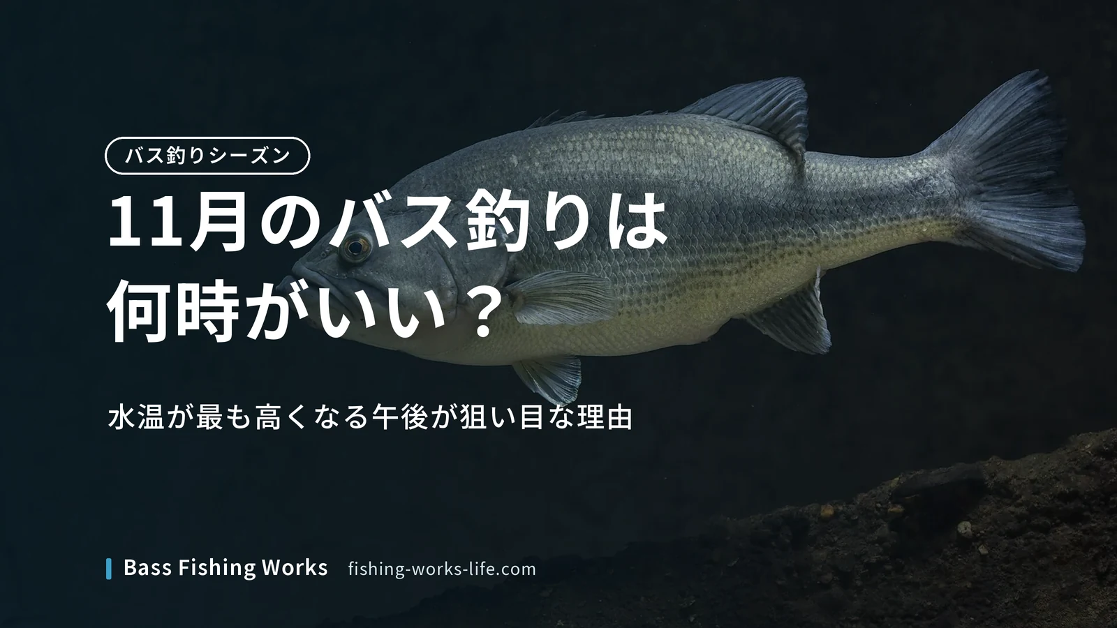 november-bass-fishing-time のアイキャッチ画像