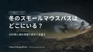 smallmouth-bass-winter のアイキャッチ画像