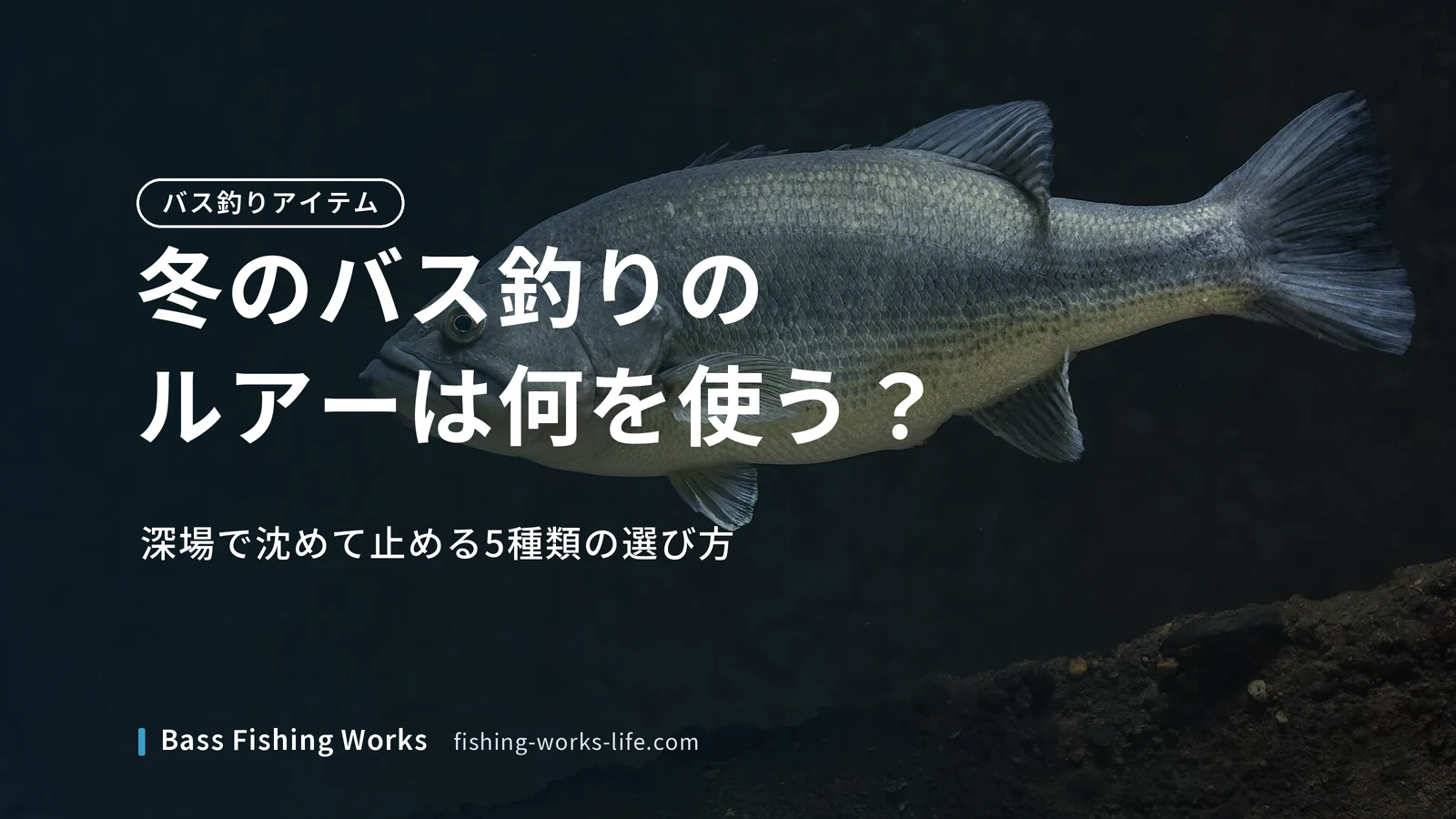 winter-bass-fishing-lures のアイキャッチ画像