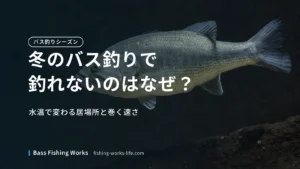 winter-bass-fishing-no-bites のアイキャッチ画像