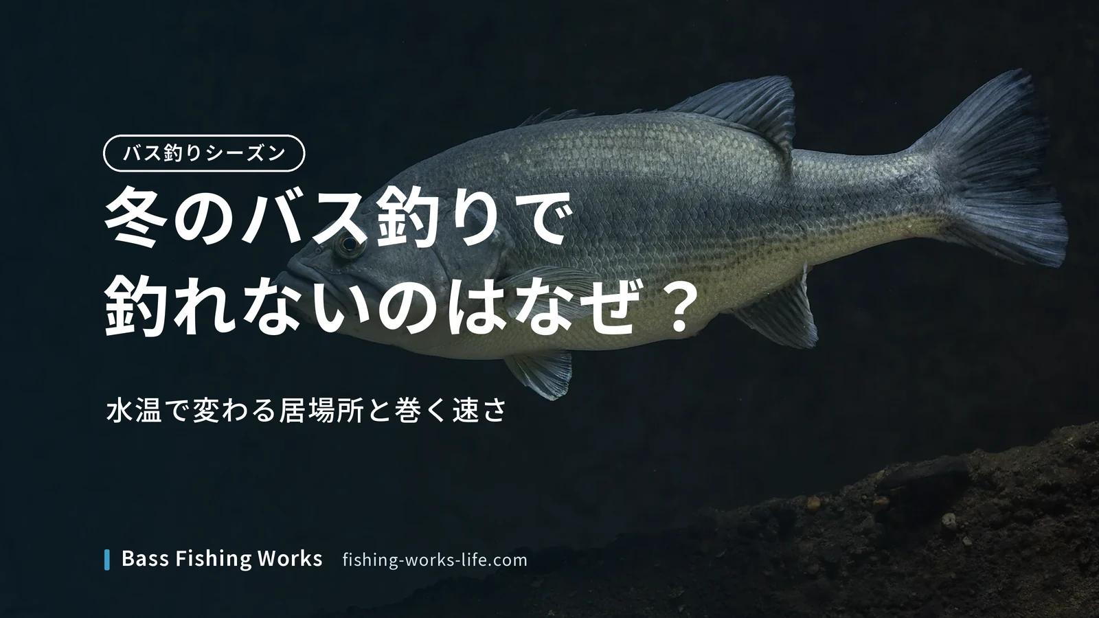 winter-bass-fishing-no-bites のアイキャッチ画像