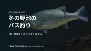 winter-bass-fishing-ponds のアイキャッチ画像