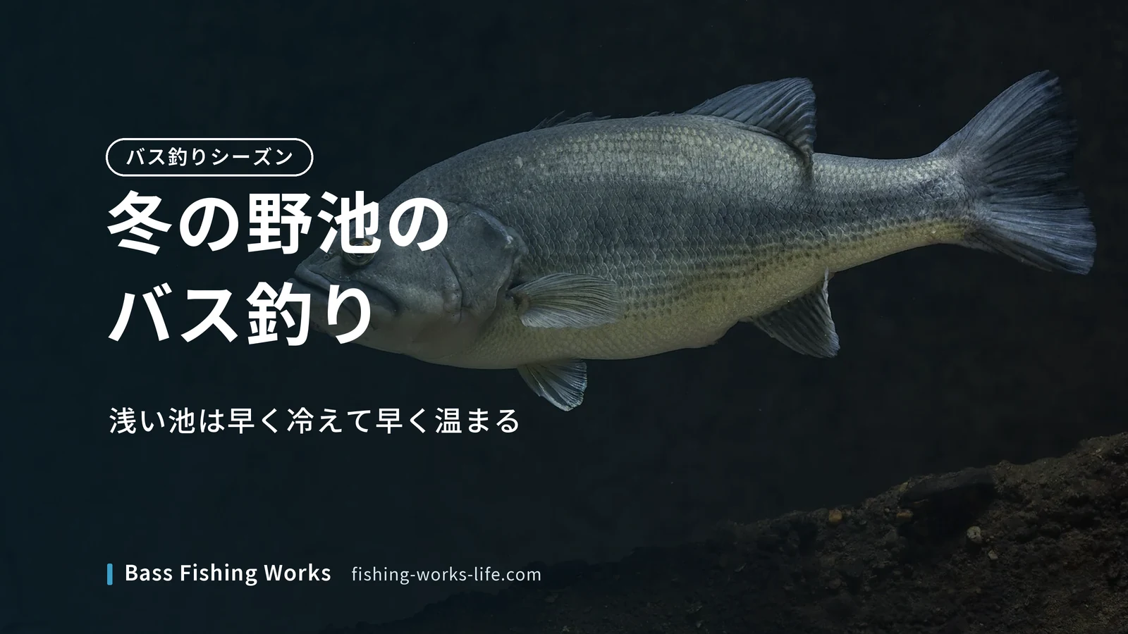 winter-bass-fishing-ponds のアイキャッチ画像