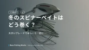 winter-bass-fishing-spinnerbait のアイキャッチ画像