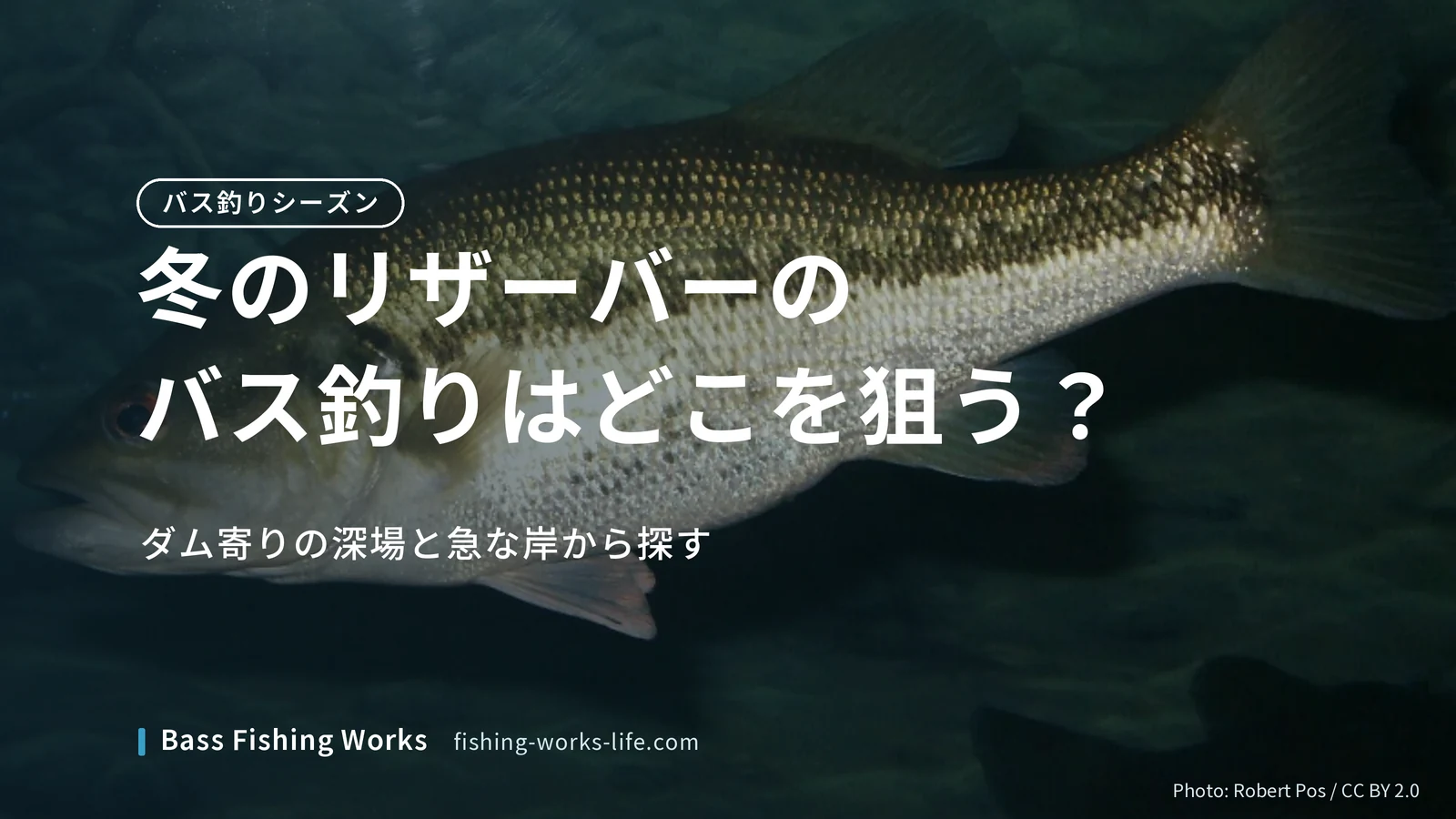 winter-reservoir-bass-fishing のアイキャッチ画像