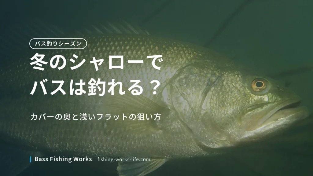 winter-shallow-bass-fishing のアイキャッチ画像