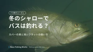 winter-shallow-bass-fishing のアイキャッチ画像